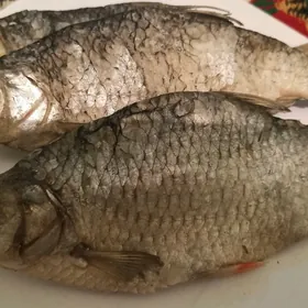Balyk taraska ikraly
