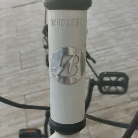 26 lyk sportivni