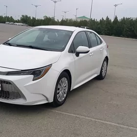 Toyota Corolla 2020