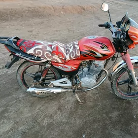Fekon FK150-8G 2025