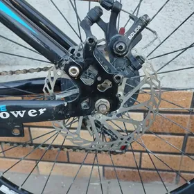 BMW welesoped