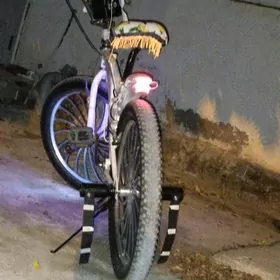 tigir 4 duga