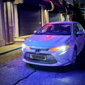 Toyota Corolla 2021