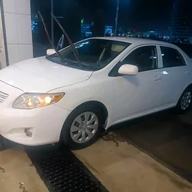 Toyota Corolla 2010