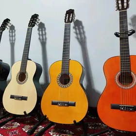Elektro Klassik Gitara