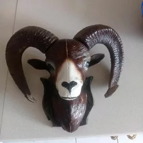 Dag goçy maniken