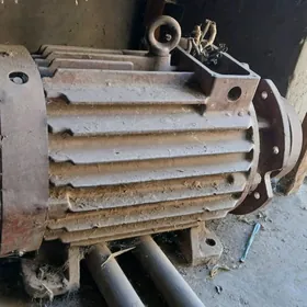Elektro dwigatel