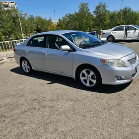 Toyota Corolla 2010