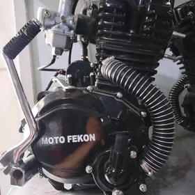 Dwigatel MOTO FEKON 300