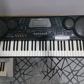 casio 731