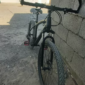 salgon