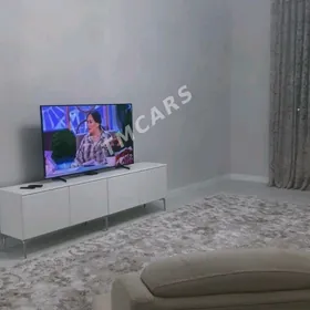 Arenda jay Mir8