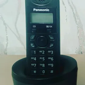 panasonic
