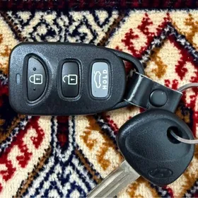 elantra achar pul