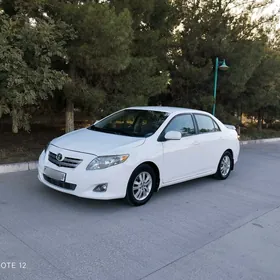 Toyota Corolla 2010