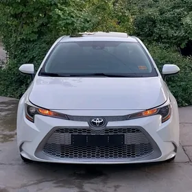 Toyota Corolla 2021