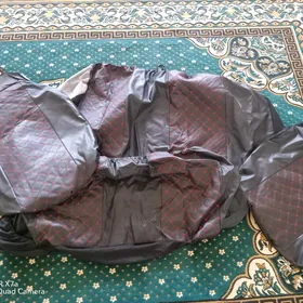 Koja cihol