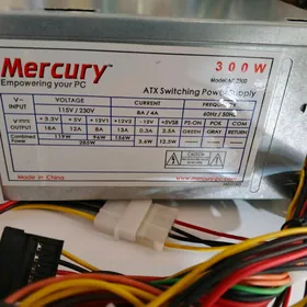mercury 300 wat