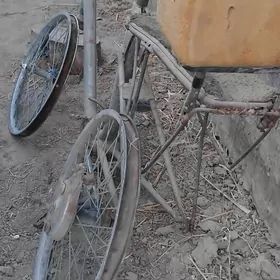 welsepit rboçy