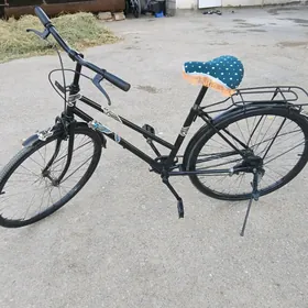 26 lyk TIGIR