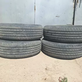 teker 225.70.16