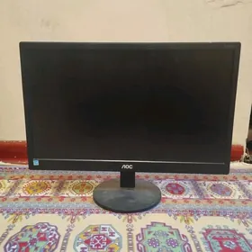 monitor 19