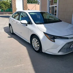 Toyota Corolla 2021