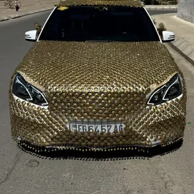 Mercedes maşyn bezeg