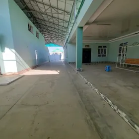 Anew magtymguly