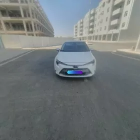 Toyota Corolla 2020