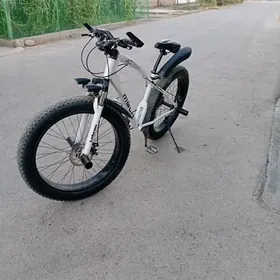 Velik 26