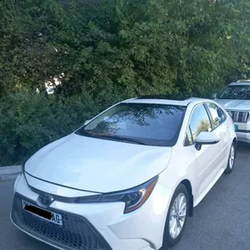 Toyota Corolla 2022