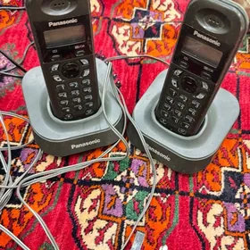 telefon domasny