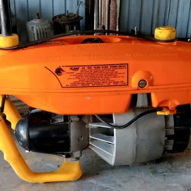 lodocnyÿ motor