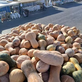 mallyk kadi