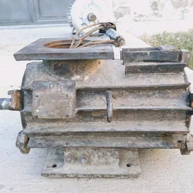 Elektro dwitil