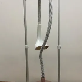 Bug utuk