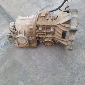 Audi karopka