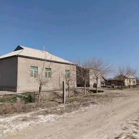 satlyk howly jaý