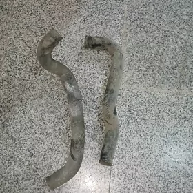 PATRUBKA