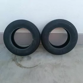 Dunlop teker
