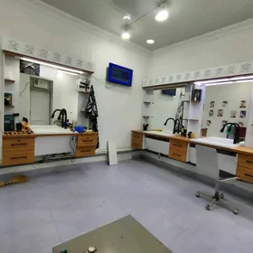 Dellekhana parihmaher