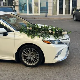 Toyota Camry 2020
