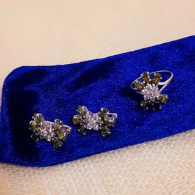 Kümüş komplekt