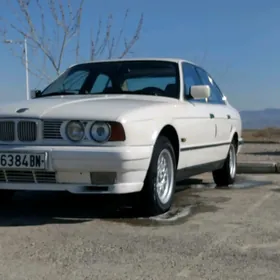 BMW 525 1991