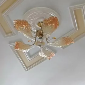 LÝUSTRALAR.