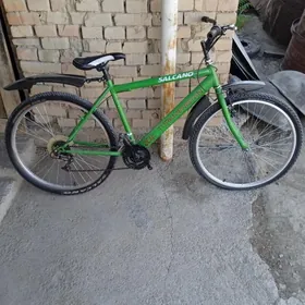 turkmenistan tigir