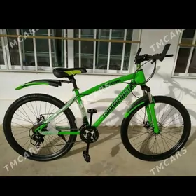 tigir turkmenistan