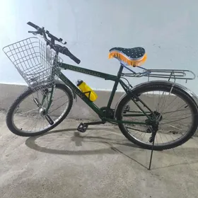 Turkmenistan tigir