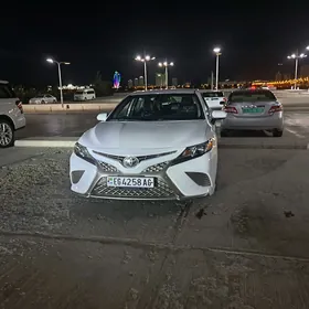Toyota Camry 2019